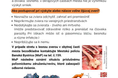 Informačný leták - líška