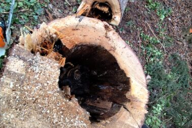 628888472_1498626038516328_3961121415654832169_n