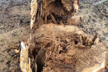 631682189_1498628278516104_8022316818585322497_n