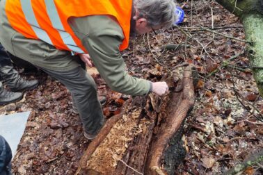 631785828_1498628501849415_1722825855131510927_n