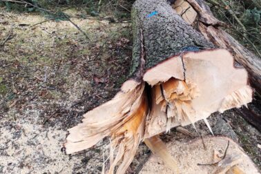 631938132_1498626531849612_3553708840033812491_n