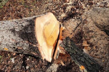 632929330_1498626398516292_8507198764277352792_n