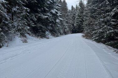 639479062_1315716467249770_4377118640778945249_n