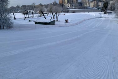 639684324_1315717043916379_1783348199167852287_n