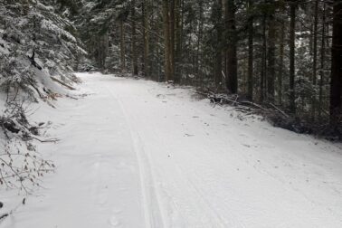 639684909_1315716527249764_5862611679950205579_n