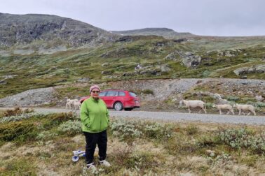 9 Spoločníčky na ceste