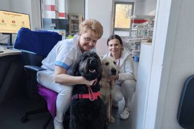 Canisterapia vo zvolenskej nemocnici (1)