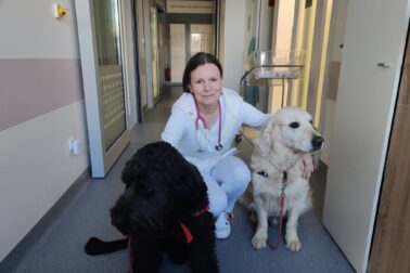 Canisterapia vo zvolenskej nemocnici (2)