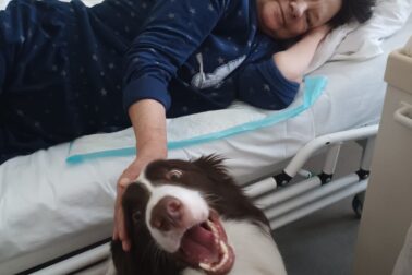 Canisterapia vo zvolenskej nemocnici (4)