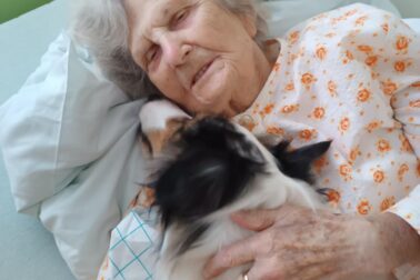 Canisterapia vo zvolenskej nemocnici (6)