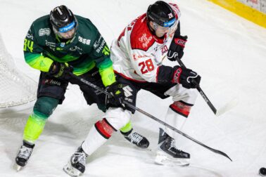 WhatsApp Image 2026-02-13 at 21.03.35(1)