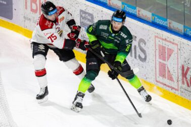 WhatsApp Image 2026-02-13 at 21.03.35(3)