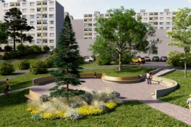 magurska-krivanska-jelsovy-hajik-zelene-sidliska