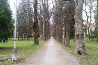 mestsky park2