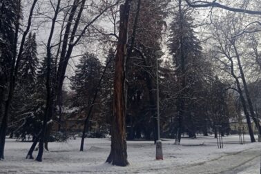 mestsky park4