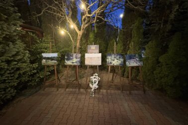 653784603_895394326668968_7105674498984241100_n