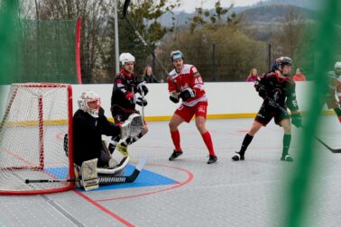 hokejbal4