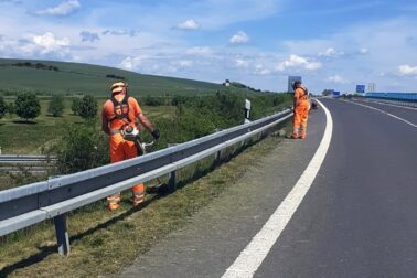 ručné kosenie1
