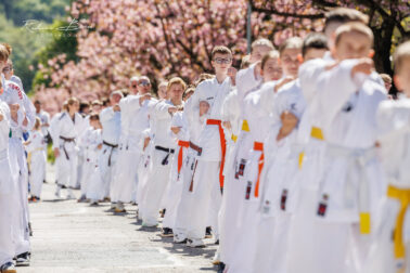 492538453_1260276189437425_8811706119463027965_n