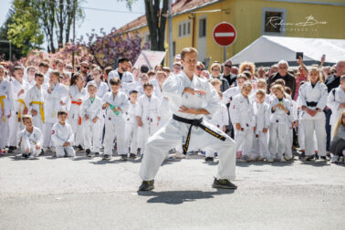 492745397_1260277096104001_7731739488123398183_n