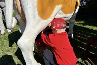 671957827_1285353180442235_6042127880454805615_n