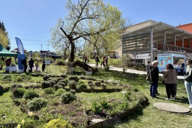 672149333_1285353067108913_4002454408604799032_n