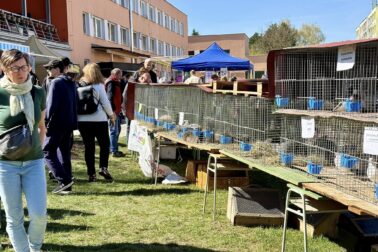 672620654_1285353083775578_7121963029271346065_n