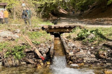 679317656_1557513652627566_7208495519961593240_n