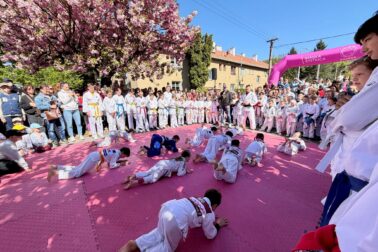 679690546_2040806980145823_4472690820336935310_n