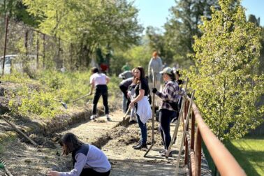 680018953_1557979919247606_3726531432861041690_n