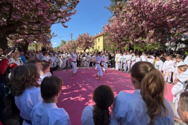 680213780_2040807033479151_7500834339466883760_n