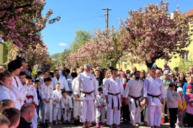 680614039_2040806903479164_7984530001249330662_n