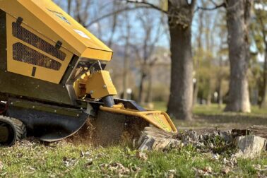 681276588_1292935096350710_8996589652595915487_n