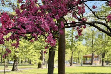 682442137_1292934956350724_4993489250257931614_n