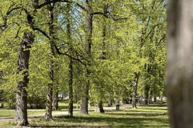 682508702_1292935153017371_1446545192349613751_n