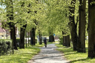 683621139_1292935013017385_3315818722928395259_n