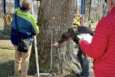 684292672_1292935089684044_8833130869178817628_n