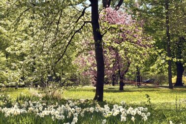 684786552_1292935149684038_2224475574205202064_n