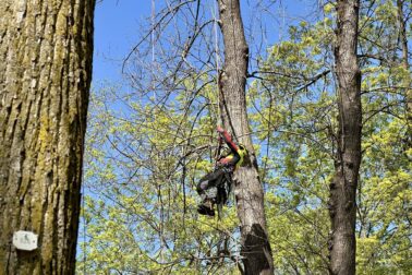 684890946_1292935026350717_6970952139736723686_n