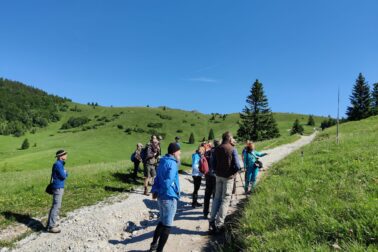 Botanicka prednaska Kvety Velkej Fatry