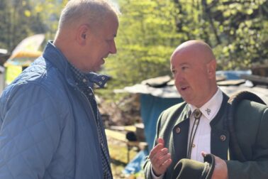 Mestské lesy BB (2)