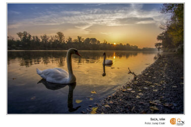 carovne-slovensko-4_2026_pripravovana-kniha_fotografia_web_13