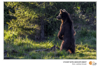 carovne-slovensko-4_2026_pripravovana-kniha_fotografia_web_5