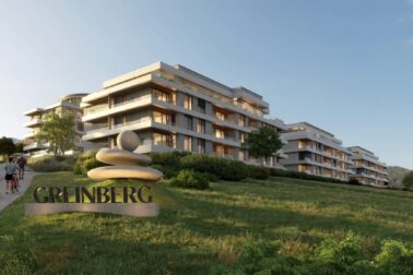 greinberg3
