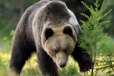 ÚVODNÁ WEB 800x500 (900 x 600 px) (1920 x 800 px) - 2