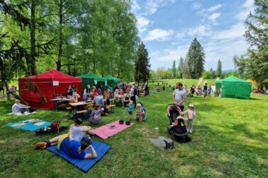 Festival kruhy_2026_004