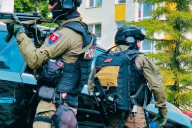 den policie4