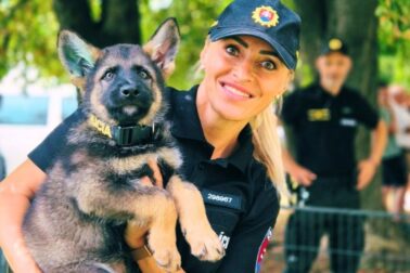 den policie5