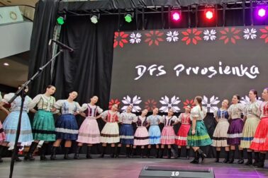 dfs prvosienka