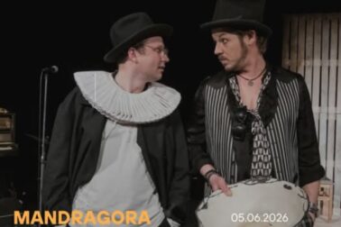 mandragora